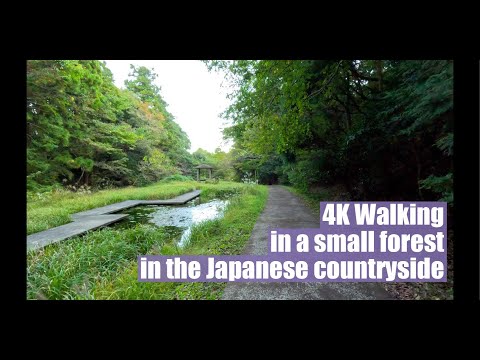 [4K Japan Local Walking] - Caminhando em uma pequena floresta no interior do Japão, província de Inabe Mie