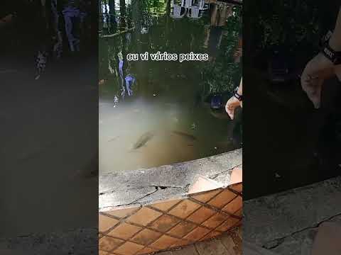 o dia que eu fui pra Matelândia do Paraná!! -Richard otaku•. #vídeocurto