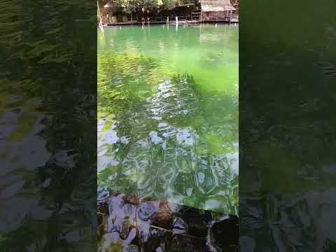 Hot Park Rio Quente Goiás