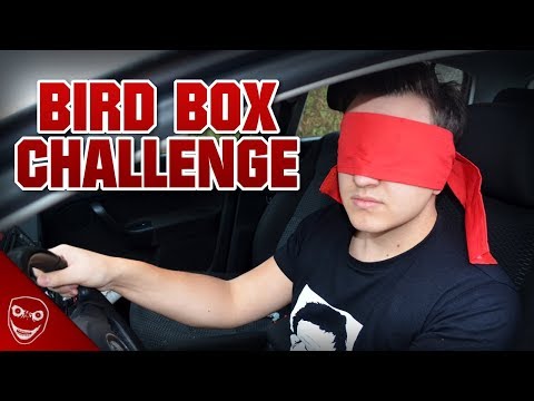 Die verstörende Bird Box Challenge! - Das muss aufhören!
