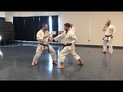 Hidden Fortress Karate - kirikaeshi explanation when being used for jiyu Kumite