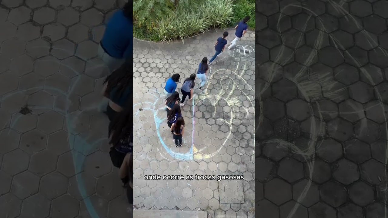 Circulação sanguínea 🫀 alunos do 2º ano do curso de Análises Clínicas do Coltec Ufmg! Brilharam!