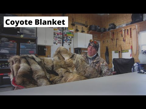 image-What is the softest fur blanket?