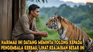 Download lagu HARIMAU INI DATANG MEMINTA TOLONG PADA PEMUDA PENGEMBALA KERBAU, LIHAT KEAJAIBAN BESAR INI TERJADI mp3
