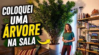 Miniatura do vídeo