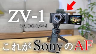 【動画品質向上委員会】時代はここまできてる！超コンパクトなのに超高性能なVLOGCAMのAFがマジでヤバ過ぎてスタメン変更の危機まであるんだが・・・ [Sony ZV-1]