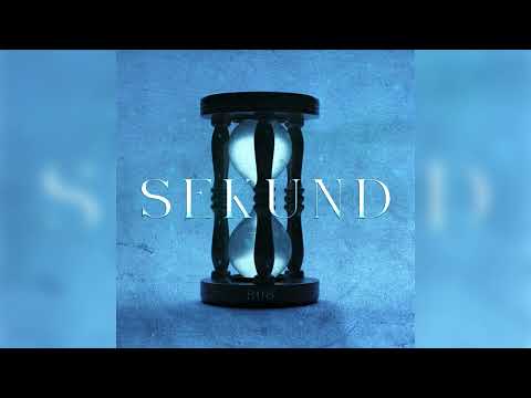 RIKI x ZVIDVA - MOŽDA BOLJE JE (OFFICIAL AUDIO) #sekund