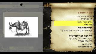 משניות בבא בתרא פרק ה משנה ב