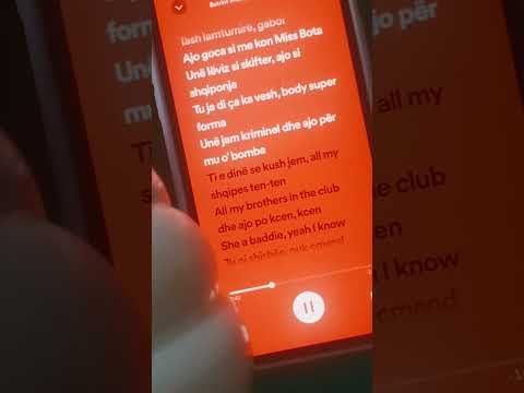 Gaboi. Butrint Imeri, Stealth Vinz