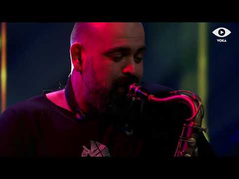 P. Arakelian & The Outsiders - Swan (Saint-Saense)