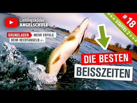 Das BESTE Wetter zum HECHTANGELN im Winter 🎣 🥳 👍 (Staffel 2, Folge 18)