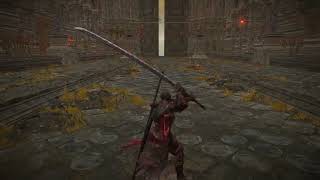 [閒聊] 法環DLC 有帥武器推薦嗎