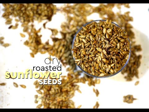 download lagu mp3 mp4 Honey Roasted Sunflower Seeds Nutrition, download lagu Honey Roasted Sunflower Seeds Nutrition gratis, unduh video klip Honey Roasted Sunflower Seeds Nutrition