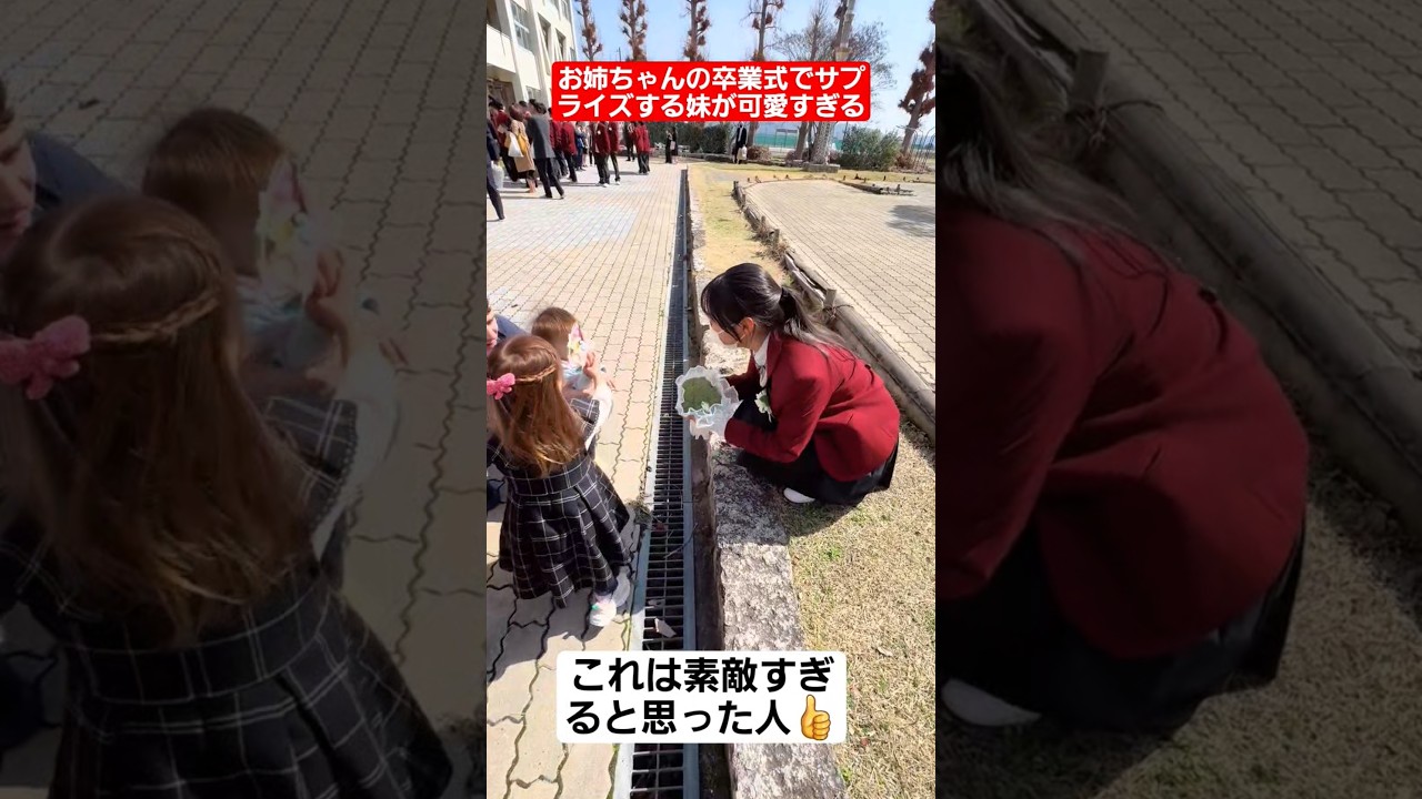 お姉ちゃんの卒業式でサプライズする妹が可愛すぎる…#shorts#tiktok#おすすめ#高校生#卒業式#感動