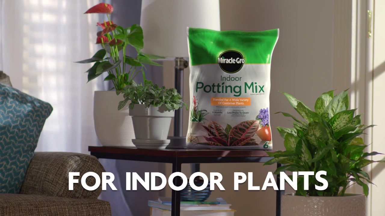 Watch video How To Use Miracle-Gro® Indoor Potting Mix Now How To Use Miracle-Gro® Indoor Potting Mix