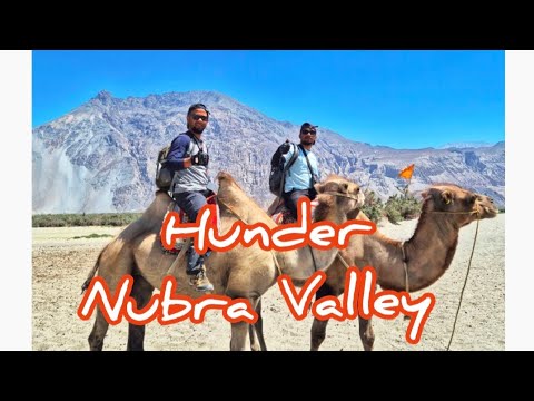 Hunder Camel Ride #hunderladakh#lehladakhtourism #adventure #meghalayatourism 