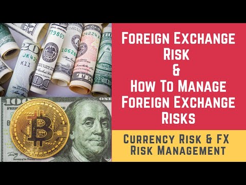 Foreign Exchange Risk and How To Manage Foreign Exchange Risks (Currency Risk & FX Risk Management)