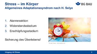 Standardbild