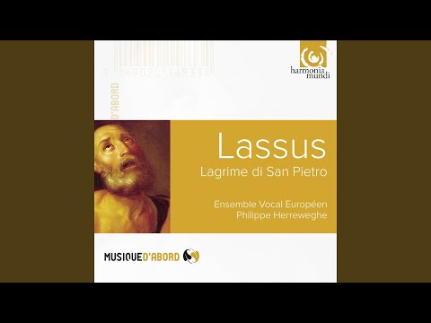 Motet: Vide homo, quae pro te patior, LV 1025