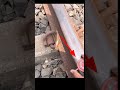 What Have You Placed On The Railway Track Indian Railway L Shorts