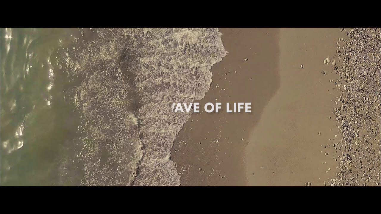 The wave of life official trailer 2020
