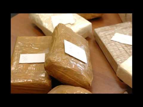 SKEMA & BARK - PACCHI