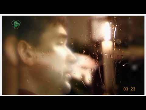 Pusbroliai Aliukai ir Sesutė -Romanas 1998