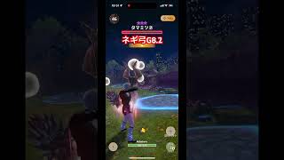 集中5連撃5闘気活性2 #モンハン #タマミツネ #ネルギガンテ#モンハンnow