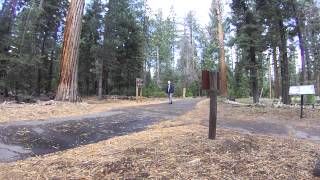 preview picture of video 'SUGAR PINE STATE PARK CALIFORNIA'