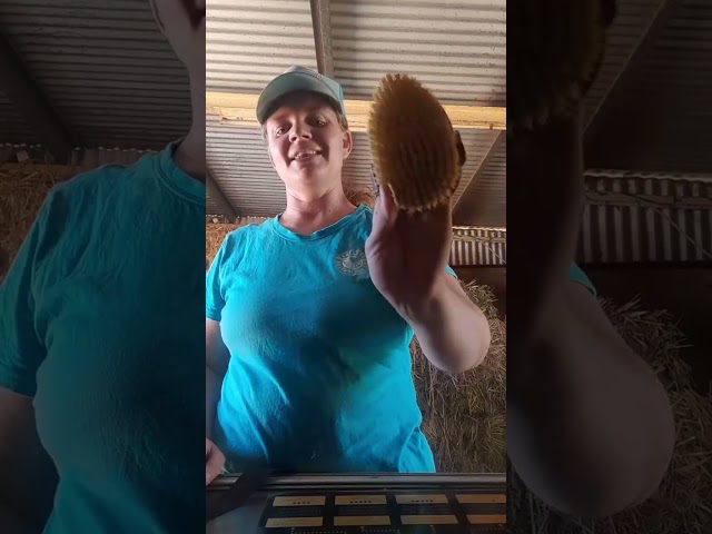 Judge.me YouTube video placeholder