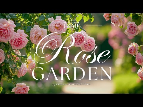 Rose Garden • Melodic Piano Instrumental Music • Beautiful TV Background • Quintessential Home