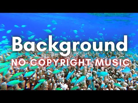 Cool Groovy Background Music for Videos | No Copyright Music | Anatolia by Mountaineer