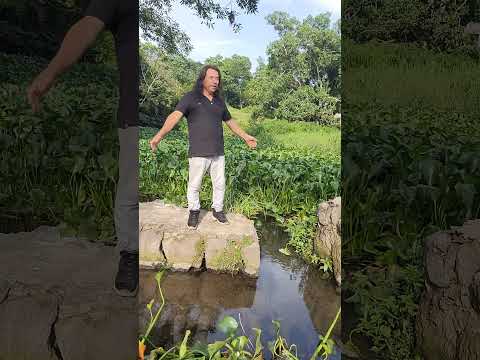 Pantano majico jardines de San Jose Santa ana El Salvador yeah!!!me picaron Las ormigas ooh nooooh