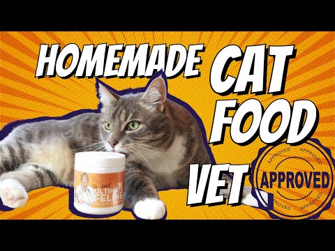 Balanced, Tasty Homemade Cat Food Recipe