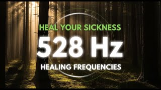528 Hz HEAL YOUR SICKNESS • Healing Frequency + Rain Sounds (1 Hr) #healing #meditation #rainsounds