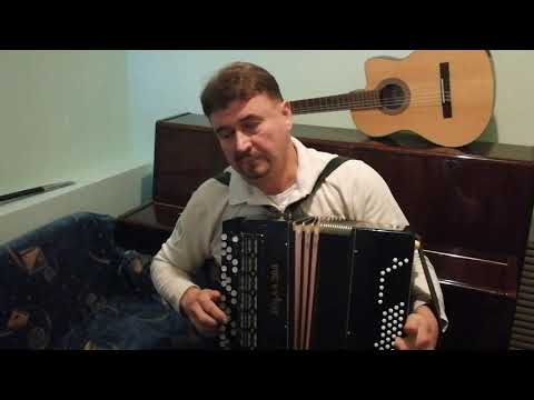 "ЧИПОЛЛИНО"(ремикс) Сергей Кузнецов:18.07.2019(09:50)