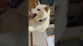 みる