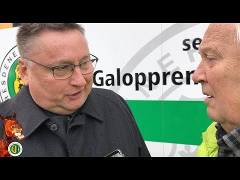 Zimmis Wettbörse – Vor dem Rennen klug sein – VII. Renntag 2018