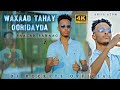 Saalax Sanaag Waxaad Tahay Oridayda New Official Video 2022