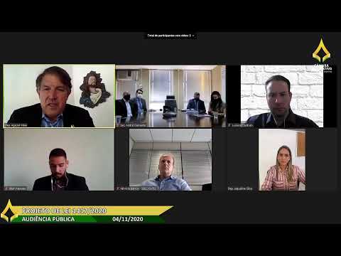 Audiência Pública Remota - Projeto de Lei 1417/2020 - 04/11/2020