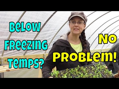 image-Does a greenhouse need to be heated?