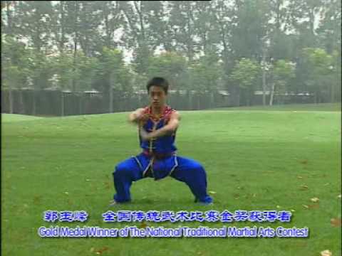 shotokan vs sabaki shotokan vs sabaki
