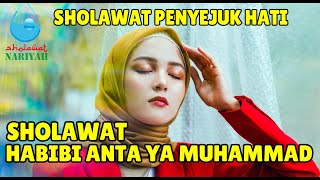 Download lagu Sholawat HABIBI ANTA YA MUHAMMAD | Sholawat Nariyah Penyejuk Hati mp3