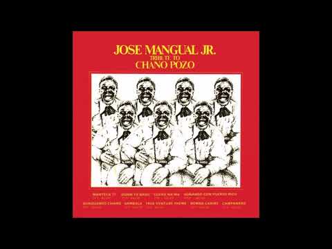 Jose Mangual JR.  - Cuero Na Ma 432 Hz