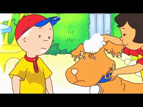 Caillou en Español Castellano | Lavado de perros de Caillou | Dibujos Animados Capítulos Completos