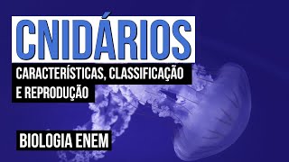 CNIDÁRIOS: características, classificação e reprodução | Biologia para o Enem | Cláudia Souza Aguiar