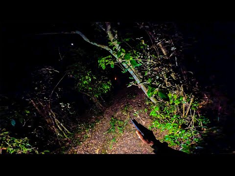 A LENDA DA MÃE DO OURO - CAÇADORES DE LENDAS