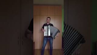 Finntroll - Grottans barn (accordion cover)