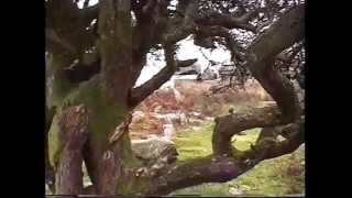 preview picture of video 'Beautiful Dartmoor - Devon Holiday Attractions'
