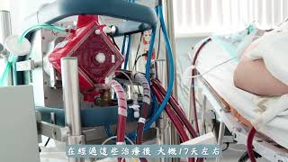 呼吸重症治療│王振宇醫師